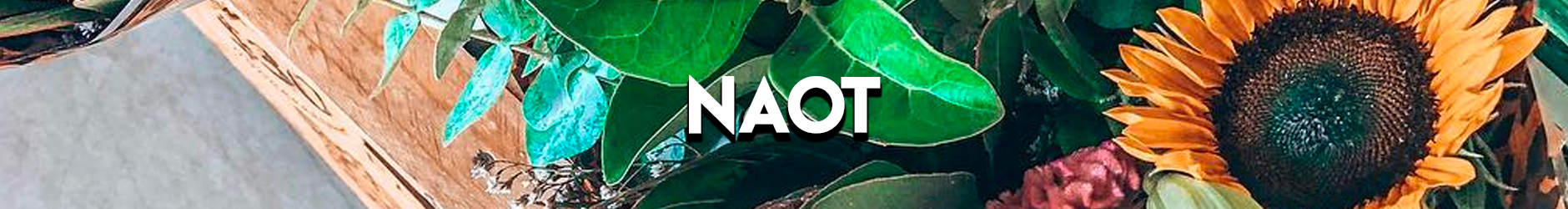 Naot